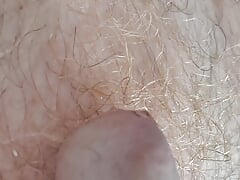 A closer look at my hairy body and some close up pisson my ginger pubes
