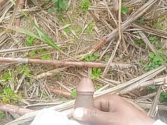 Land urine in sugarcane field hand and job mudhe mare