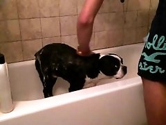Dexter takes a bath and gets a treat